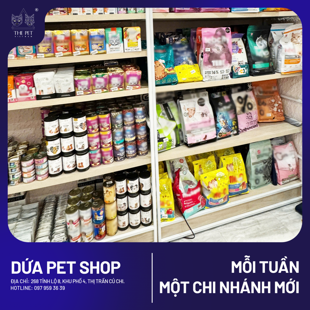 🐾 CHUYÊN MỤC “MỖI TUẦN MỘT CHI NHÁNH MỚI” 🐾 5 8 2