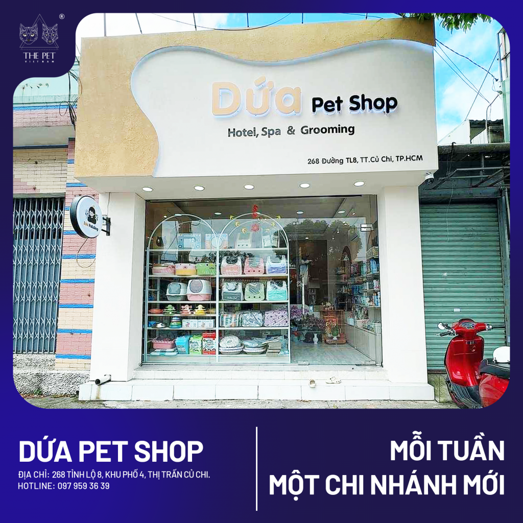 🐾 CHUYÊN MỤC “MỖI TUẦN MỘT CHI NHÁNH MỚI” 🐾 1 9 1 1