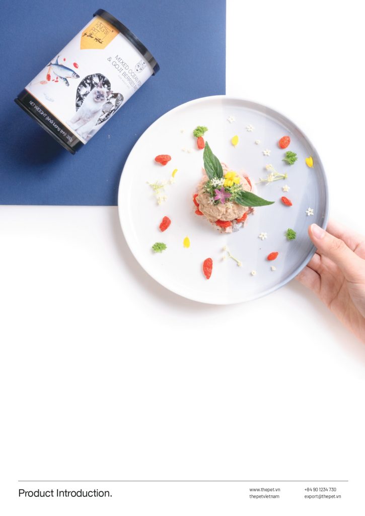 SALE KIT ENG FINAL page 0022 1