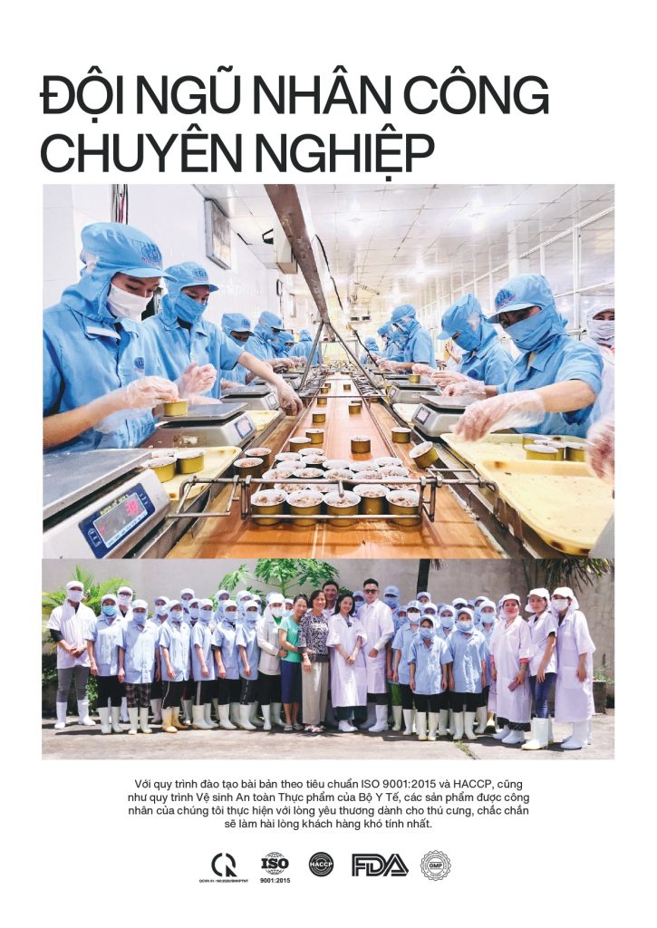 SALE KIT VN FINAL CMYK page 0009