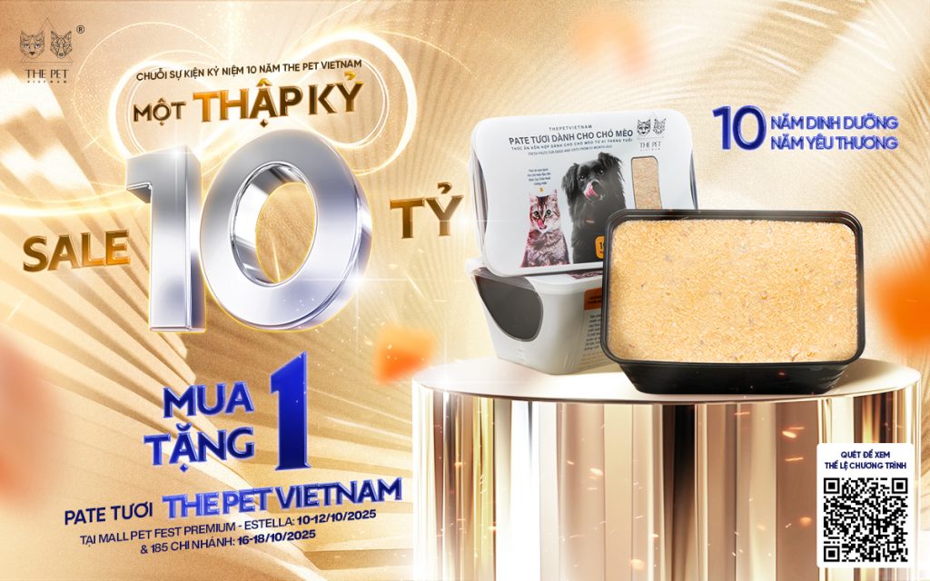 Thể lệ
