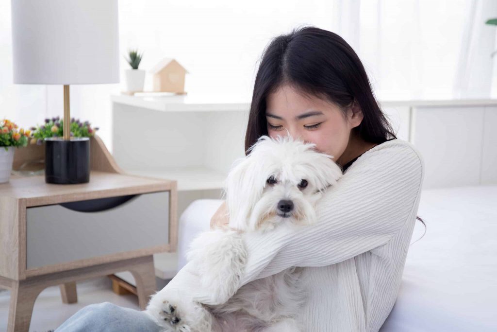 The Pet Vietnam vẫn phục vụ xuyên suốt kỳ nghỉ Quốc khánh 2/9