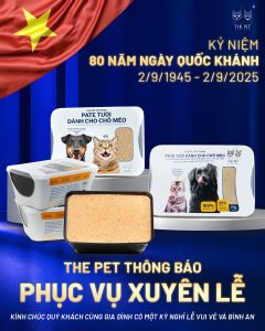 Quốc Khánh 2/9 – Ngày Tự Hào Dân Tộc Và Khoảnh Khắc Sum Vầy Bên Boss Cưng 464 Quốc Khánh 2/9