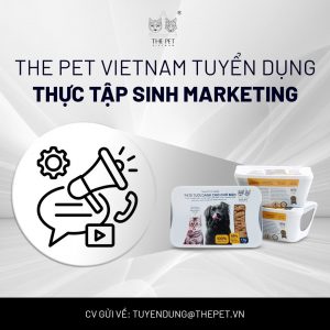 z7022199131732 624345fd28acc75cec61e16f21199281