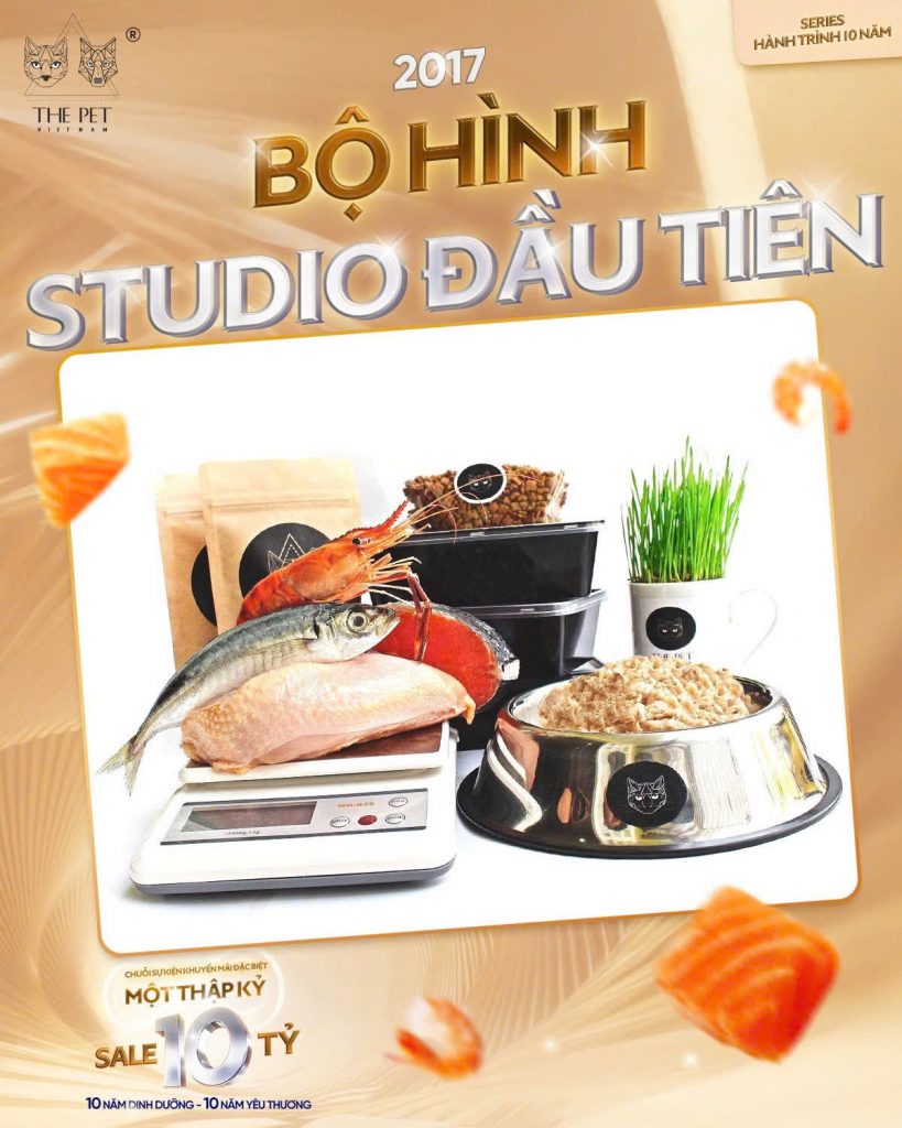 ✨ CÂU CHUYỆN 10 NĂM THE PET VIETNAM - 2017 - BƯỚC NGOẶT TĂNG TRƯỞNG - TỪ BỘ HÌNH STUDIO ĐẦU TIÊN ĐÃ ĐƯA THƯƠNG HIỆU VÀ SẢN PHẨM ĐẾN GẦN HƠN VỚI SEN & BOSS✨ 1 2017