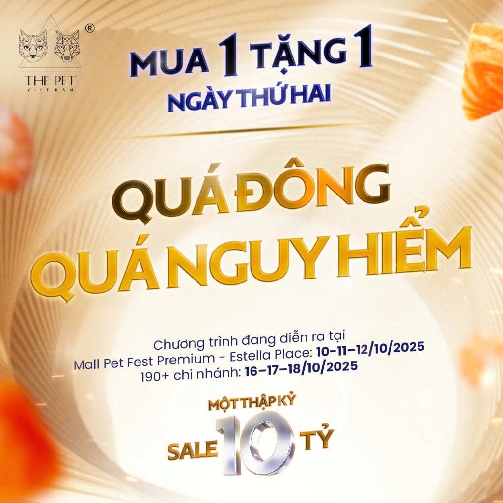 CẬP NHẬT NGÀY 2: TIẾP TỤC CHÁY HÀNG, KHÁCH ‘ĐỔ BỘ” SĂN ƯU ĐÃI. 1 d2