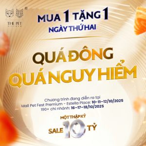 CẬP NHẬT NGÀY 2: TIẾP TỤC CHÁY HÀNG, KHÁCH ‘ĐỔ BỘ” SĂN ƯU ĐÃI. 150 d2