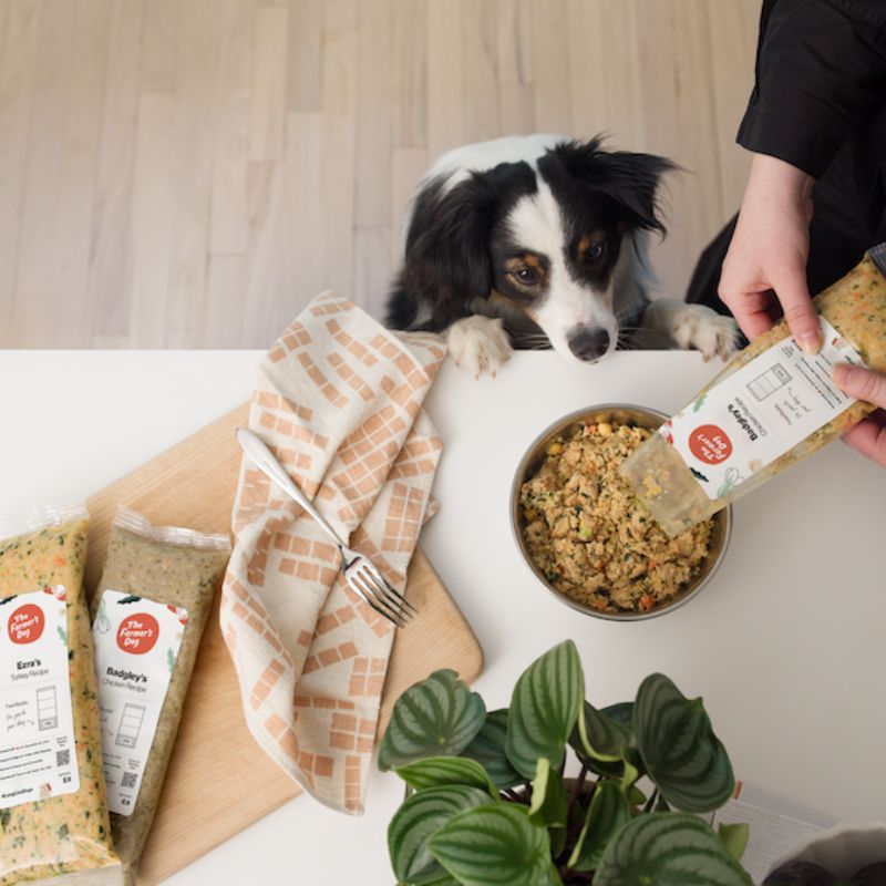 Những xu hướng mới trên thị trường thức ăn thú cưng.