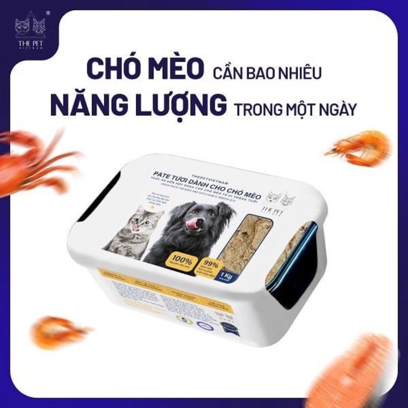 Các doanh nghiệp sản xuất pate tươi trong nước đạt chuẩn quốc tế 4 Các doanh nghiệp sản xuất pate tươi trong nước.