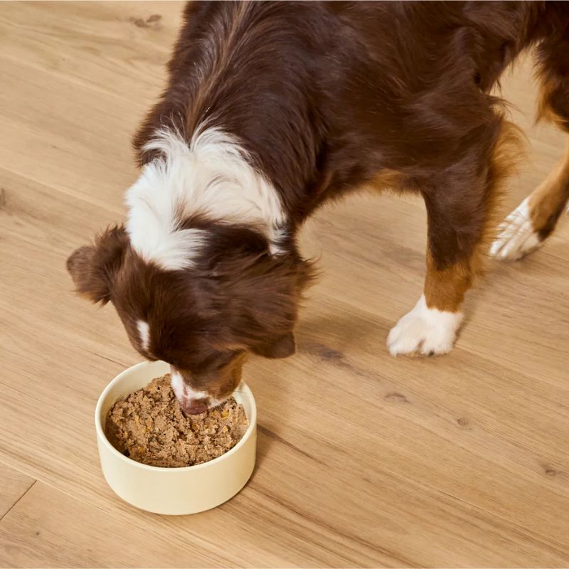 Tiêu chí chọn hãng pate tươi cho chó mèo tốt nhất.