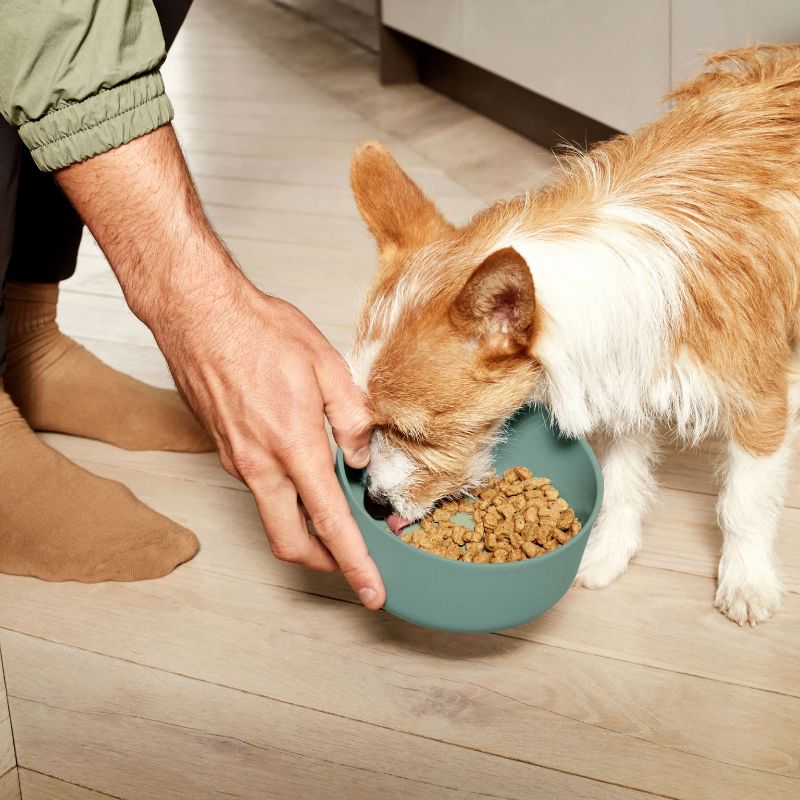 Lời khuyên hữu ích khi chọn hãng pate tươi cho chó mèo tốt nhất.