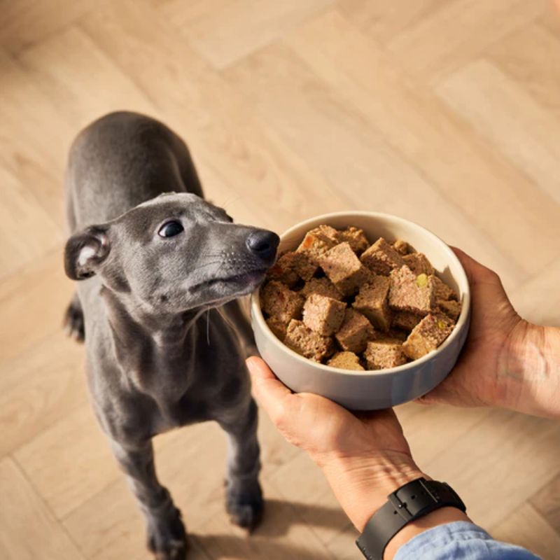 Đánh giá từ khách hàng về chất lượng pate.