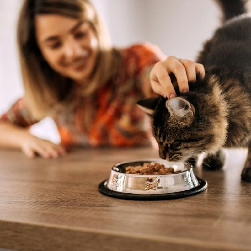 Giải pháp vượt qua thách thức cho các thương hiệu pate tươi.