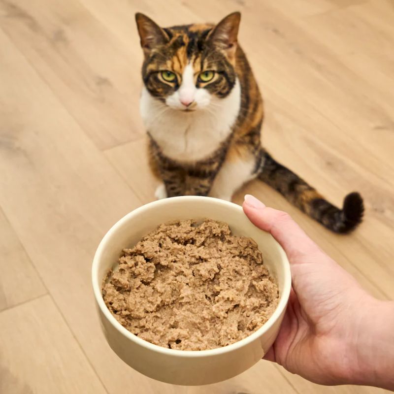 Thương hiệu pate tươi cho chó mèo bán chạy nhất hiện nay 2 Thương hiệu pate tươi nổi tiếng.