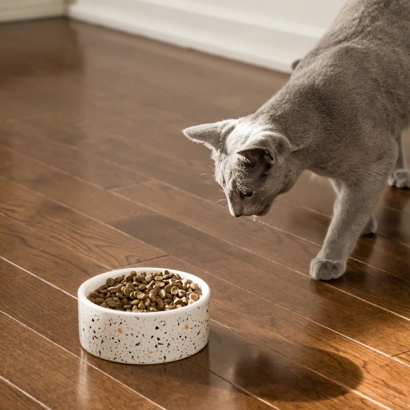 Thương hiệu pate tươi cho chó mèo bán chạy nhất hiện nay 3 Những yếu tố quyết định để lựa chọn thương hiệu pate tươi cho chó mèo.