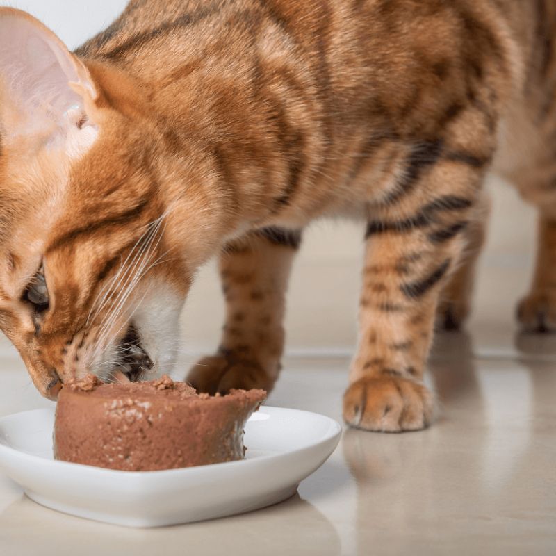 Thương hiệu pate tươi quốc tế tại Việt Nam.