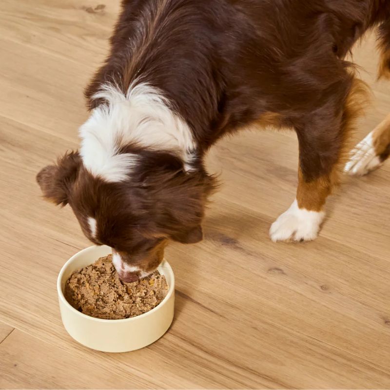 Tham khảo thương hiệu pate tươi chất lượng.