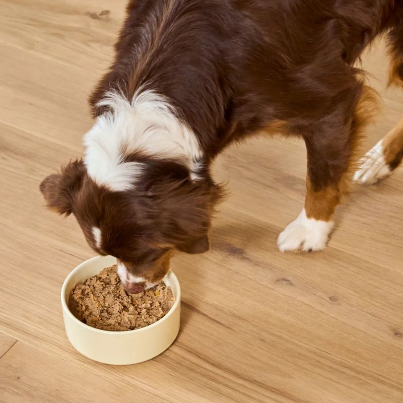 Top pate tươi cao cấp cho chó – Dinh dưỡng từ nguyên liệu tươi thật 1 Top pate tươi cho chó cao cấp.