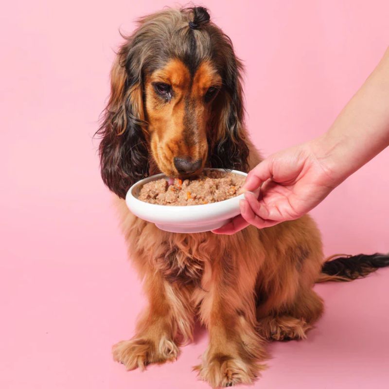 Top pate tươi cao cấp cho chó – Dinh dưỡng từ nguyên liệu tươi thật 2 Nguyên liệu làm pate tươi cho chó.