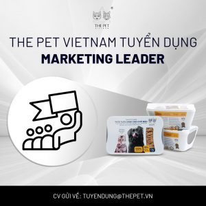 Tuyển Dụng Marketing Leader – The Pet Vietnam 314 z7072573019130 9f2675ad0daed6b310b59b62a38c4cc7