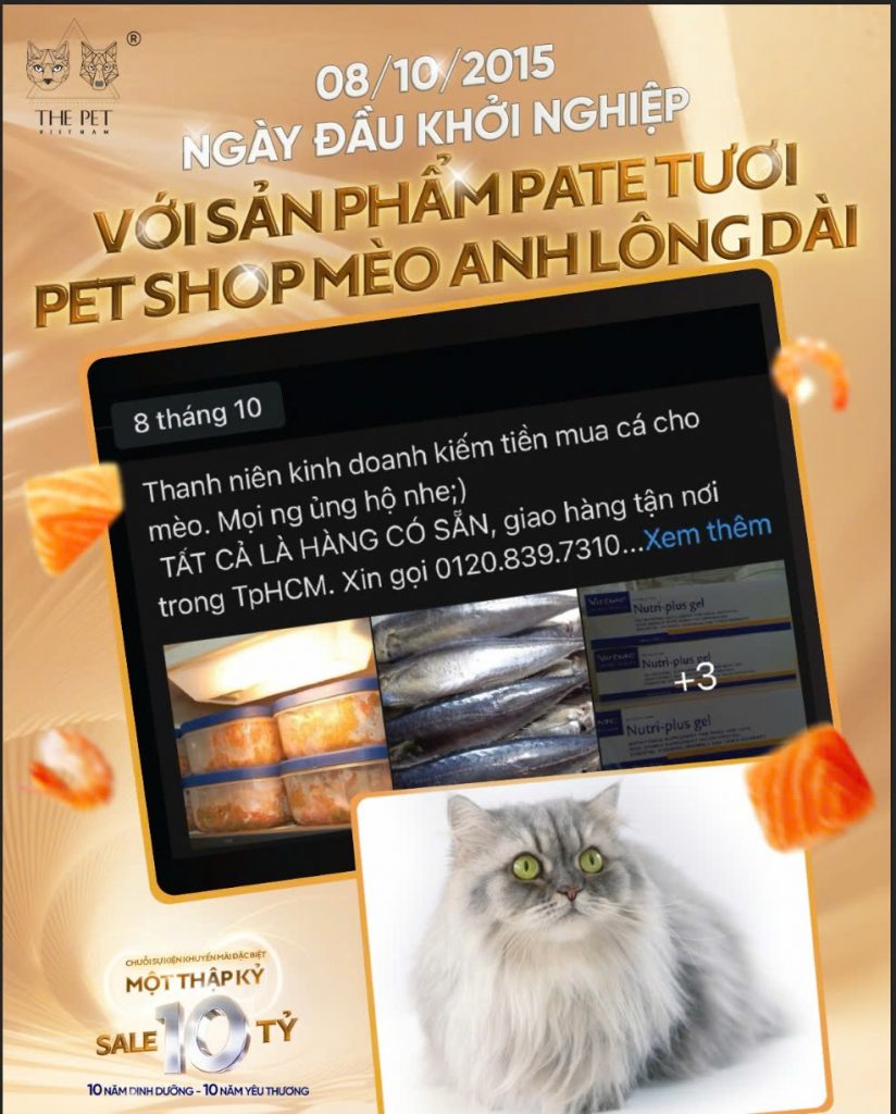 ✨CÂU CHUYỆN 10 NĂM THE PET VIETNAM - 2015 - TỪ NHỮNG BỨC CHÂN ĐẦY BỠ NGỠ, CEO ĐÃ KHỞI NGHIỆP VỚI PET SHOP ONLINE “MÈO ANH LÔNG DÀI”, NƠI NHỮNG HỘP PATE TƯƠI HANDMADE ĐẦU TIÊN RA ĐỜI✨ 1 z7077756793044 dab4c22c8d5f59af6ea08eb92a85d430