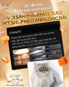 ✨CÂU CHUYỆN 10 NĂM THE PET VIETNAM -  2015 -  TỪ NHỮNG BỨC CHÂN ĐẦY BỠ NGỠ, CEO ĐÃ KHỞI NGHIỆP VỚI PET SHOP ONLINE “MÈO ANH LÔNG DÀI”, NƠI NHỮNG HỘP PATE TƯƠI HANDMADE ĐẦU TIÊN RA ĐỜI✨ 308 z7078083235077 5ca6e2a3dd82a30aedc3f28ea89e04cc