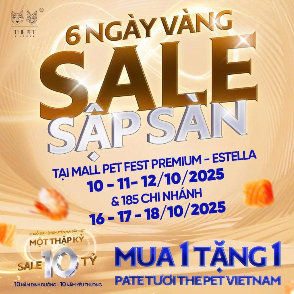 6 NGÀY VÀNG – SALE SẬP SÀN! 1 z7093697360150 551fdcdbfedbf1d468375f5a4c303655