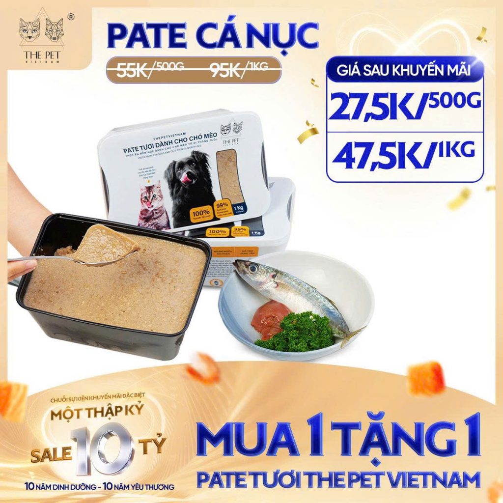 6 NGÀY VÀNG – SALE SẬP SÀN! 4 z7093697372331 0a6b87144cd9a4471c51f7e3536a1104