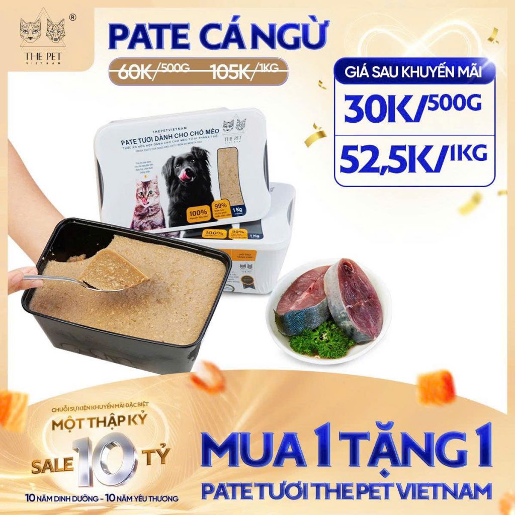 6 NGÀY VÀNG – SALE SẬP SÀN! 5 z7093697377688 34c91d69ea78c034a9836b366a28d48e