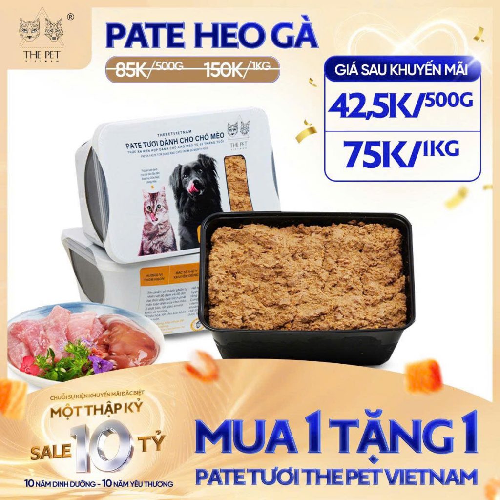 6 NGÀY VÀNG – SALE SẬP SÀN! 18 z7093697392296 f22786704cadf78516d371bc8f1d4254