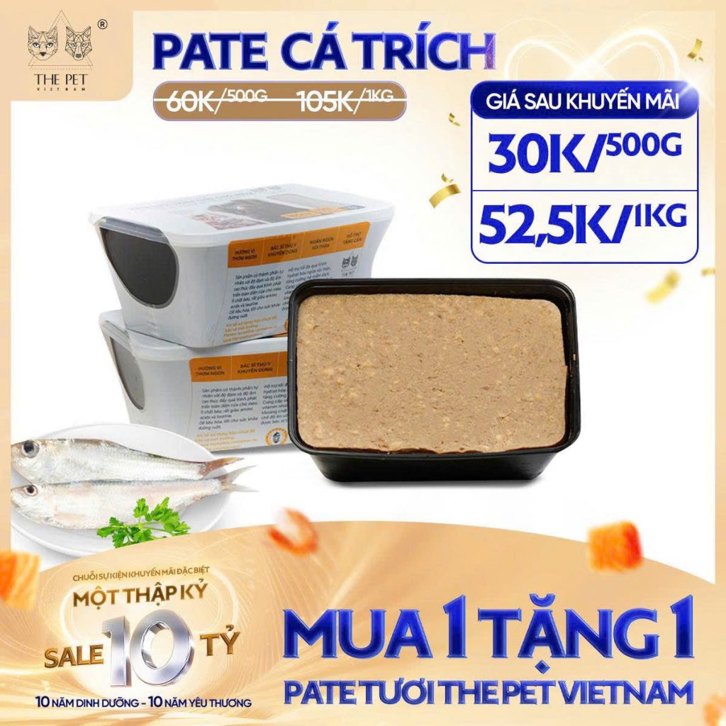 6 NGÀY VÀNG – SALE SẬP SÀN! 12 z7093697401330 5da83e9584e7b5114d55b08c798c2320