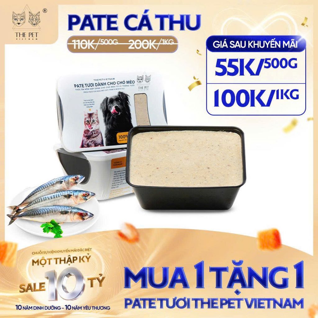 6 NGÀY VÀNG – SALE SẬP SÀN! 22 z7093697428682 b294ebaacbb3ffffdb6886f9fff474c6