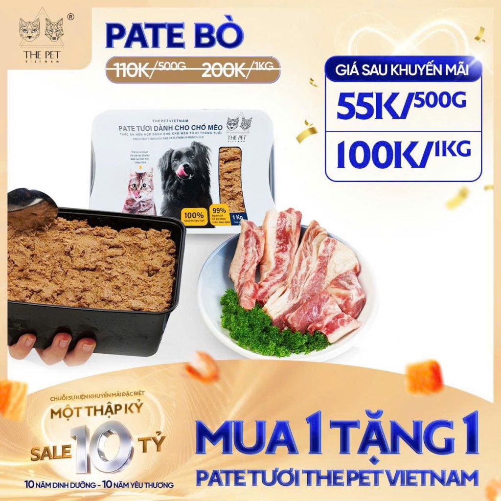 6 NGÀY VÀNG – SALE SẬP SÀN! 24 z7093697441076 2b947b56337d566e6eb56678b1fd794c