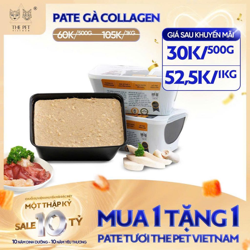 6 NGÀY VÀNG – SALE SẬP SÀN! 10 z7093697449190 9a7c2a674ff54ae2cfd4a12979181085