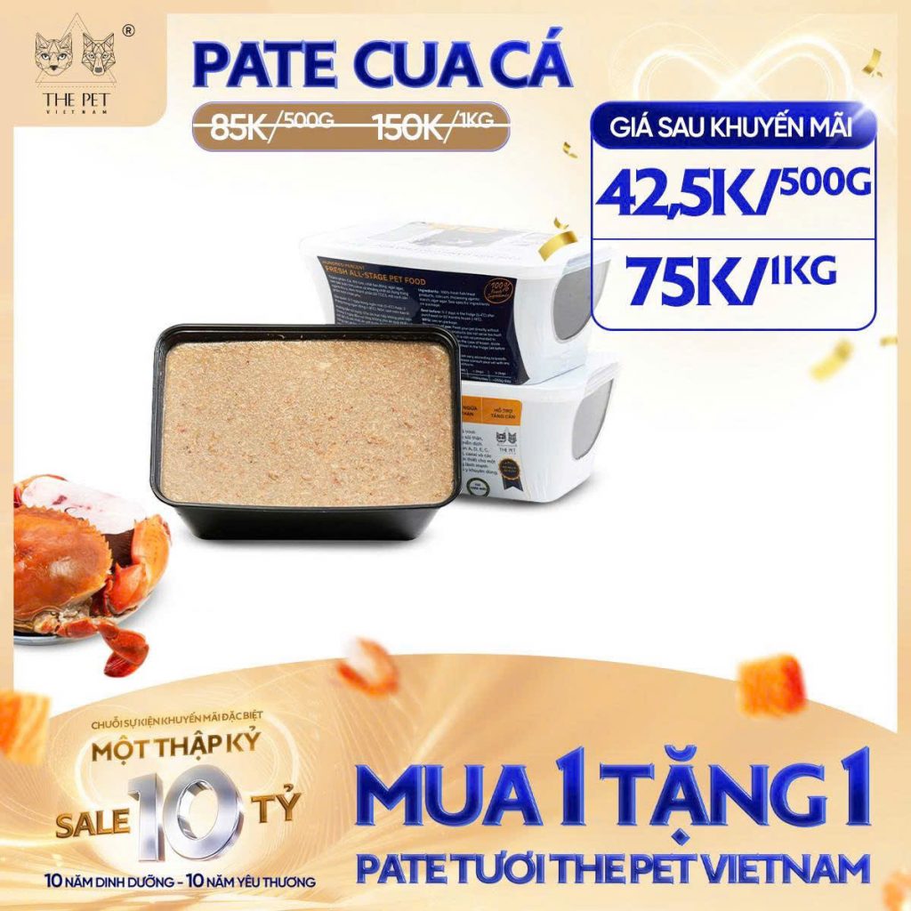 6 NGÀY VÀNG – SALE SẬP SÀN! 17 z7093697466310 bfc1beb767a296189c290850f672c91f