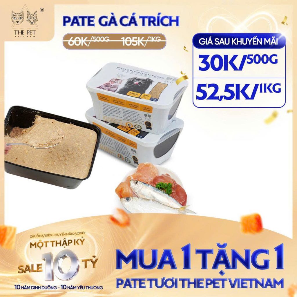 6 NGÀY VÀNG – SALE SẬP SÀN! 15 z7093697469786 19ce9b9832717c3231bd398ae71c323a