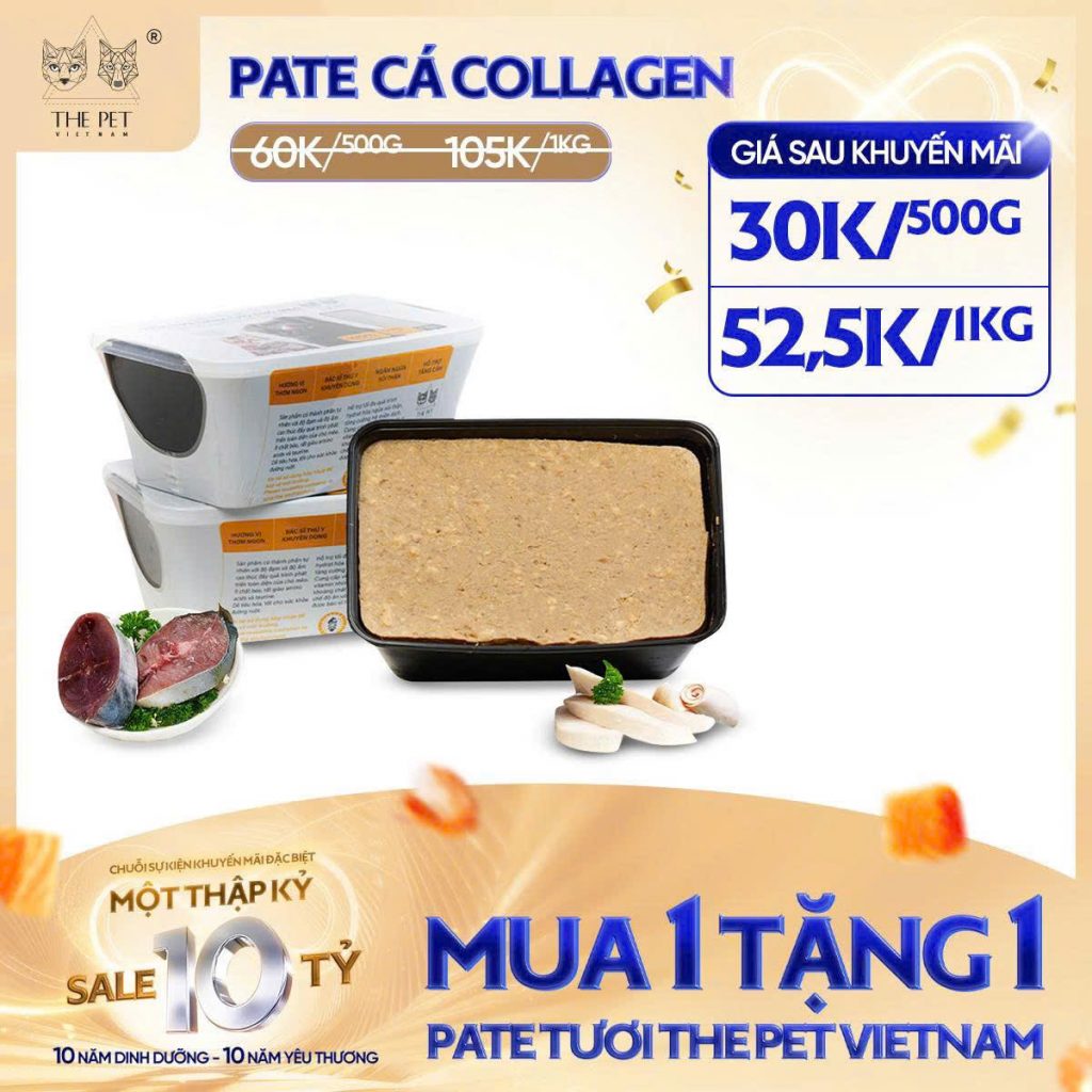 6 NGÀY VÀNG – SALE SẬP SÀN! 6 z7093697485516 19068c76449a0599e328eca45c6ff9ab