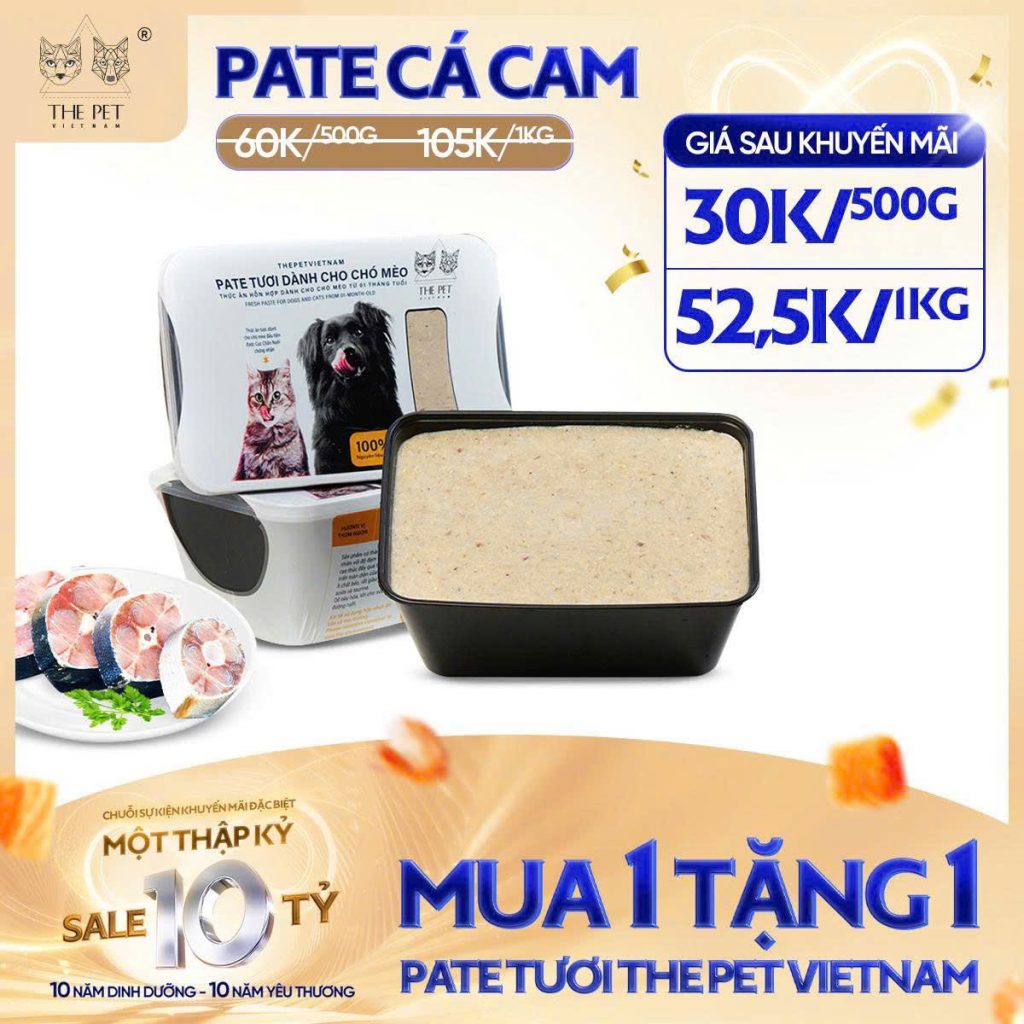 6 NGÀY VÀNG – SALE SẬP SÀN! 14 z7093697490891 6d5e6ab651588ab262d81657497a2bf0