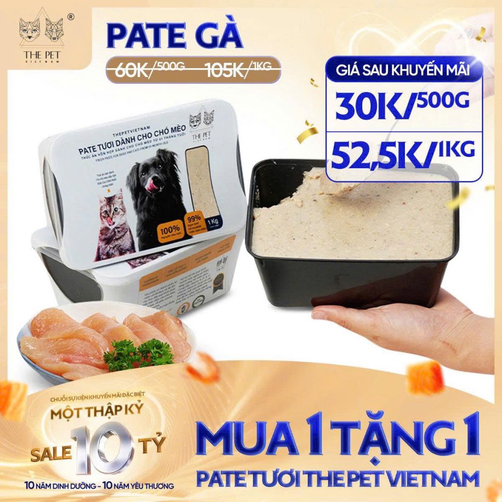 6 NGÀY VÀNG – SALE SẬP SÀN! 9 z7093697499160 147eda22be33542c8482b994860bf66b
