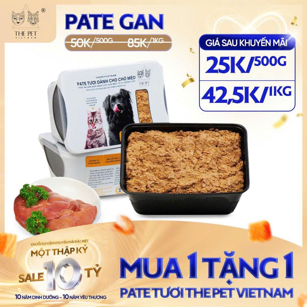 6 NGÀY VÀNG – SALE SẬP SÀN! 11 z7093697506738 b7b6c62831fe3631ce38e69e10f21672