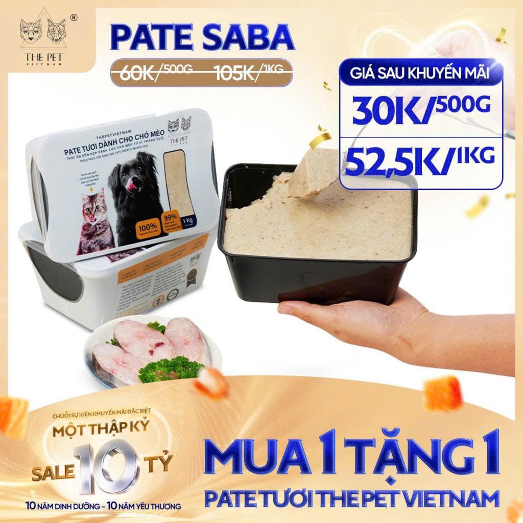 6 NGÀY VÀNG – SALE SẬP SÀN! 13 z7093697513378 afbd760d781b704d52fbb74f9577fa70