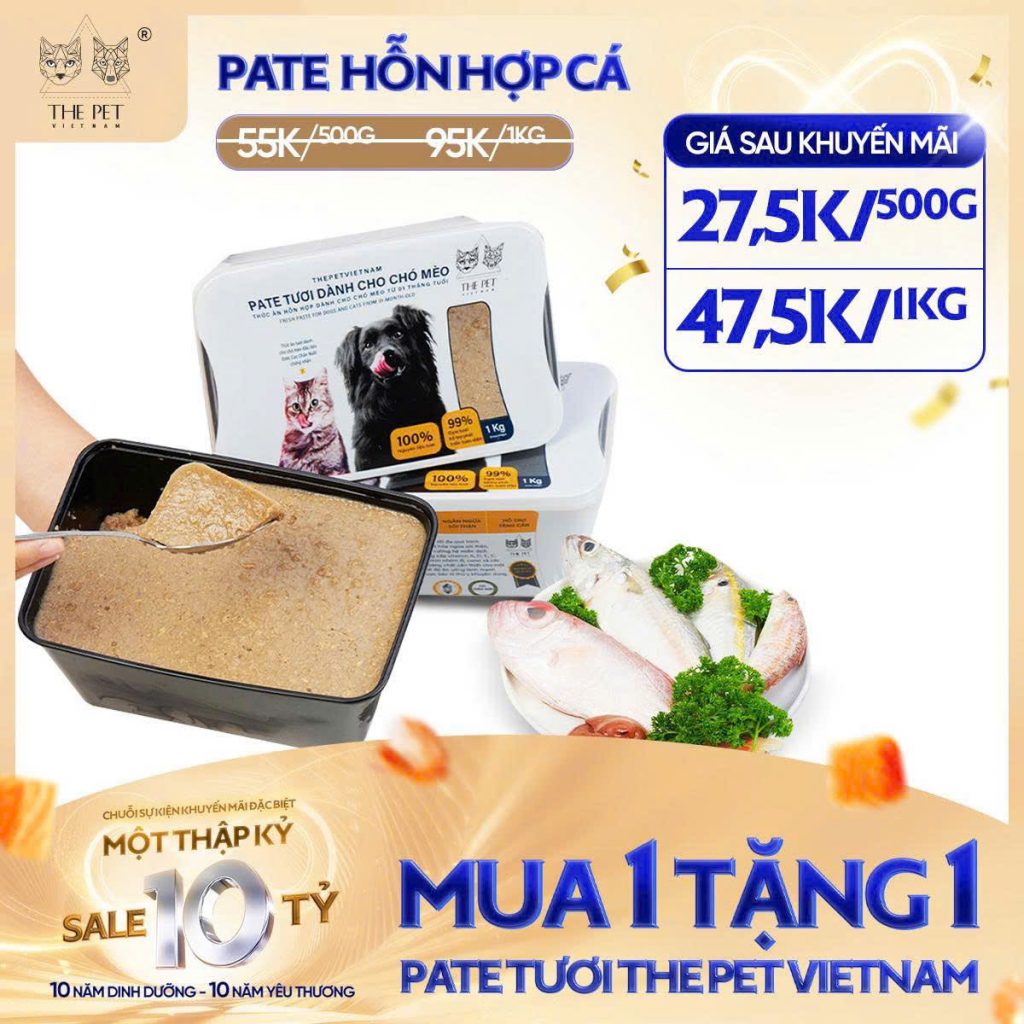6 NGÀY VÀNG – SALE SẬP SÀN! 3 z7093697521631 feaf0afba0e77b6eaa8017c9310ff41c