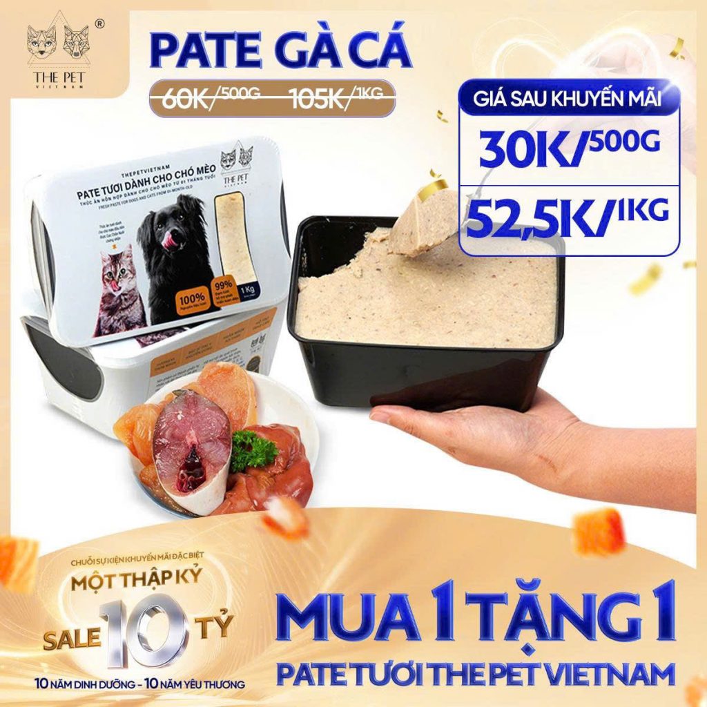 6 NGÀY VÀNG – SALE SẬP SÀN! 8 z7093697528274 bb04b8ef8cd217ec7e294bd837ba5025