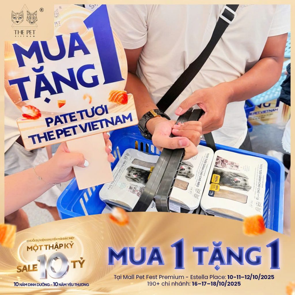 CẬP NHẬT NGÀY 2: TIẾP TỤC CHÁY HÀNG, KHÁCH ‘ĐỔ BỘ” SĂN ƯU ĐÃI. 15 z7104755256692 c86730de6bbe6d959b8ac306b6df9d67