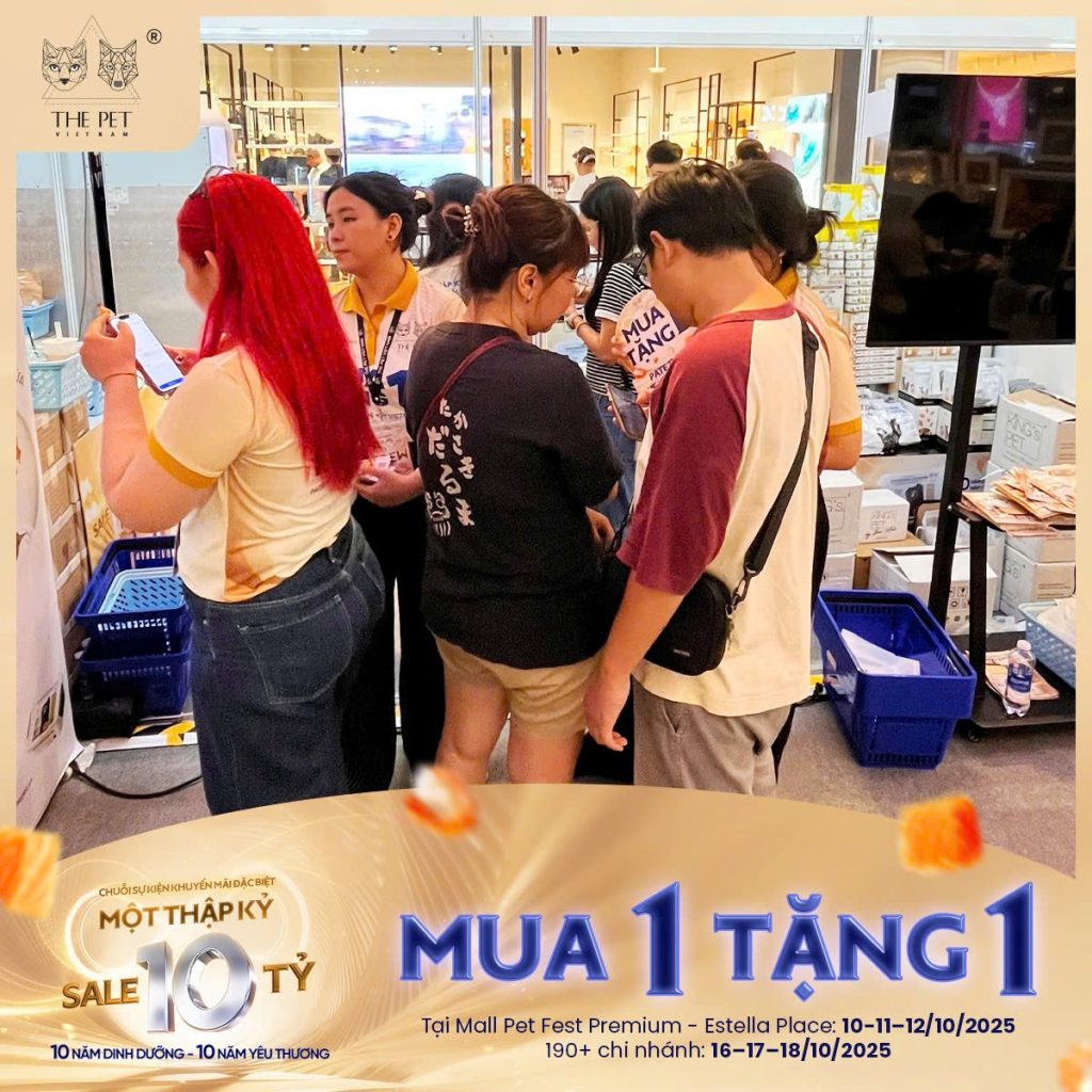 CẬP NHẬT NGÀY 2: TIẾP TỤC CHÁY HÀNG, KHÁCH ‘ĐỔ BỘ” SĂN ƯU ĐÃI. 13 z7104755277913 c84619133d10c16cda1b034de160ac2d