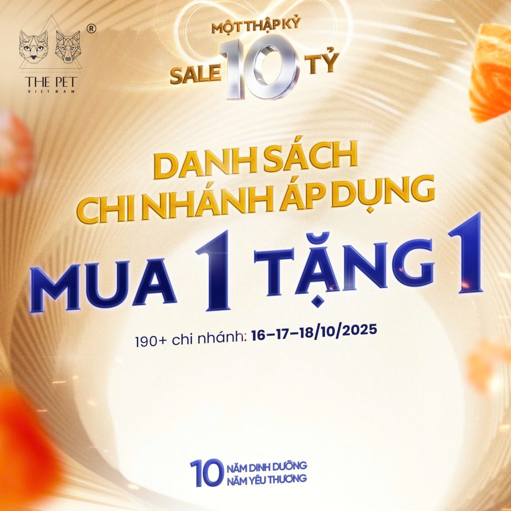 DANH SÁCH CÁC CHI NHÁNH ÁP DỤNG MUA 1 TẶNG 1 PATE TƯƠI 1 z7115634644561 6d5031c3db6c536a8492224144e9a260