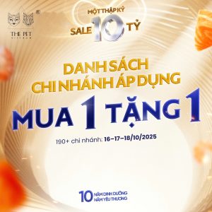 DANH SÁCH CÁC CHI NHÁNH ÁP DỤNG MUA 1 TẶNG 1 PATE TƯƠI 94 z7115634644561 6d5031c3db6c536a8492224144e9a260