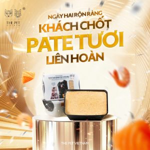 NGÀY 2 RỘN RÀNG - KHÁCH CHỐT PATE TƯƠI LIÊN HOÀN 38 z7126874166173 80a5bc46212b89abf08bdea1bc07dd11