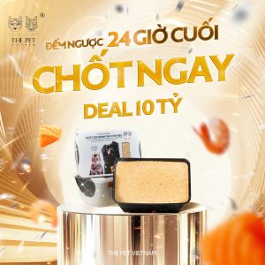 ĐẾM NGƯỢC 24 GIỜ CUỐI – CHỐT NGAY DEAL 10 TỶ! 7 z7128145268534 cddc6fb27ef8a7e5b0f1a5c98e10c6cf