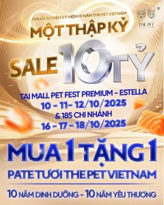 TỔNG KẾT 6 NGÀY SỰ KIỆN MỘT THẬP KỶ - SALE 10 TỶ - HÀNH TRÌNH LAN TỎA YÊU THƯƠNG TIẾP TỤC NỐI DÀI KHÔNG NGỪNG 6 z7132132617276 dce10536019314b1f5ac7e544f27abce